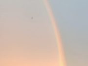 В Рыбинске организуют автофлешмоб в цветах триколора