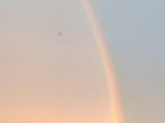 В Рыбинске организуют автофлешмоб в цветах триколора