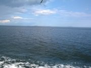 Рыбинцев приглашают на фестиваль любительских видов спорта на воде