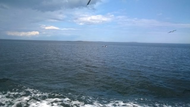 Рыбинцев приглашают на фестиваль любительских видов спорта на воде