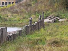 Набережную в Волжском могут отремонтировать совсем скоро