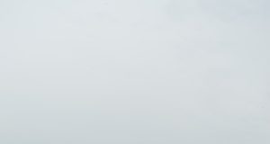 Пять принцесс семьи Колташевых