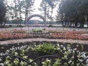 В День семьи для рыбинцев организуют танцевальный вечер и кинопоказ под открытым небом