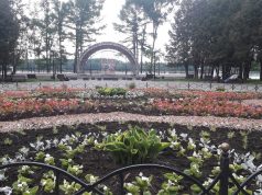 В День семьи для рыбинцев организуют танцевальный вечер и кинопоказ под открытым небом