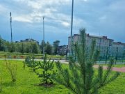 В Рыбинске появилась аллея спорта и здоровья