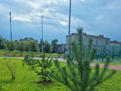 В Рыбинске появилась аллея спорта и здоровья