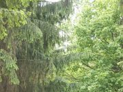 По Бульварной закроют движение