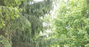 По Бульварной закроют движение