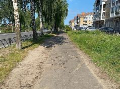 На проспекте Серова сделают пешеходную зону