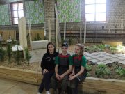 Студенты Рыбинского лесотехнического колледжа стали призерами профессионального конкурса