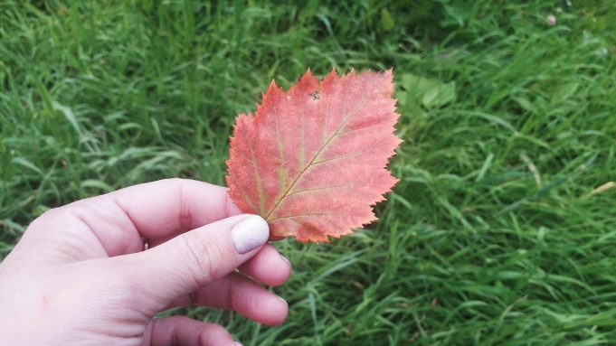 В Рыбинск придет по-настоящему теплая осень