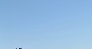 В Рыбинске стартовал конкурс «Лучший туристский маршрут 2023»