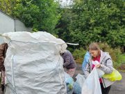 Волонтеры подвели итоги экосубботы, которая прошла в Рыбинске 26 августа