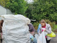 Волонтеры подвели итоги экосубботы, которая прошла в Рыбинске 26 августа