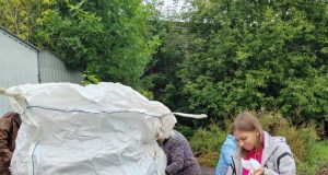 Волонтеры подвели итоги экосубботы, которая прошла в Рыбинске 26 августа