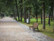 Преобразования в Волжском парке продолжаются