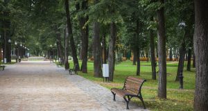 Преобразования в Волжском парке продолжаются