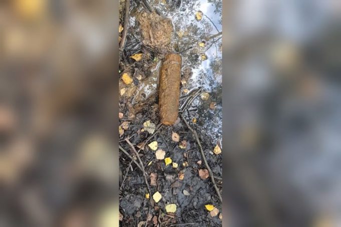 В Рыбинске грибник наткнулся на боеприпас