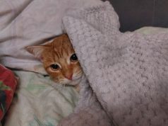 Отопительный сезон в Рыбинске начнется 2 октября