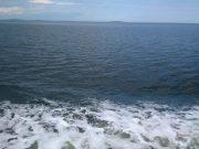 В Рыбинске спасли яхтсмена, которому стало плохо