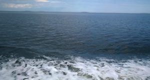 В Рыбинске спасли яхтсмена, которому стало плохо