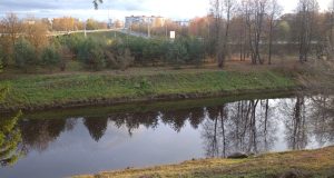 Украшать Бульварную улицу будут почти 2500 новых растений