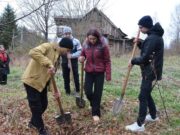 Из Рыбинска в Бобруйск отправились деревья