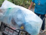 Экосуббота в Рыбинске состоится 28 октября