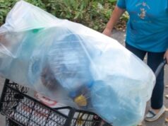 Экосуббота в Рыбинске состоится 28 октября