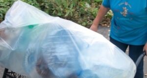 Экосуббота в Рыбинске состоится 28 октября