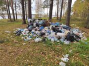 На территории Высоковского бора прошел субботник