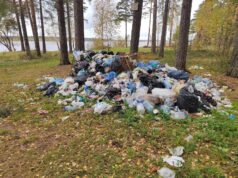 На территории Высоковского бора прошел субботник