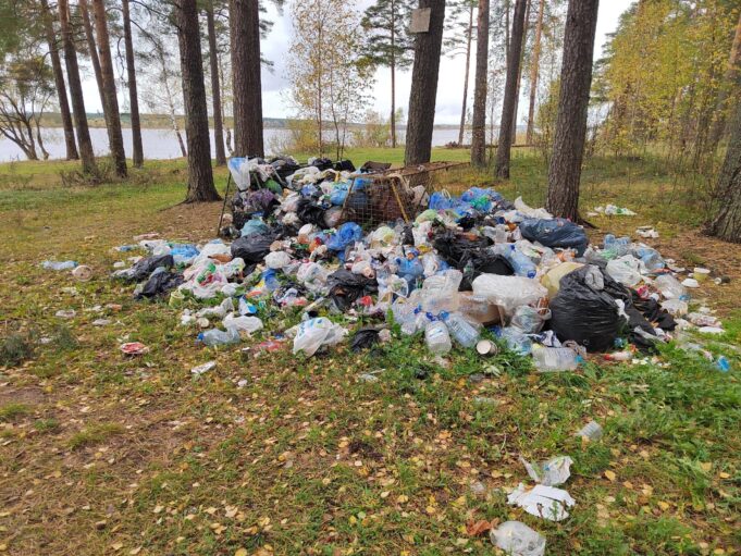 На территории Высоковского бора прошел субботник