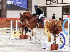 Рыбинская наездница отличилась на всероссийских соревнований по конкуру