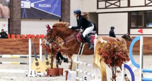 Рыбинская наездница отличилась на всероссийских соревнований по конкуру