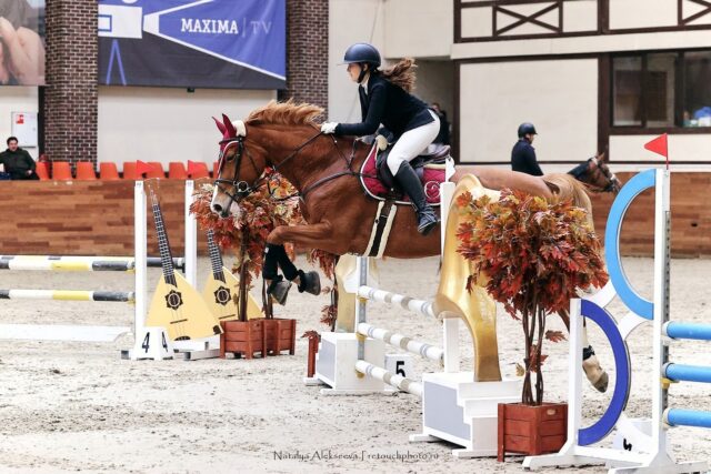 Рыбинская наездница отличилась на всероссийских соревнований по конкуру