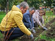 В Рыбинске появилась живая изгородь в Волжском парке