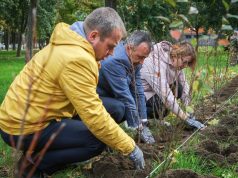 В Рыбинске появилась живая изгородь в Волжском парке