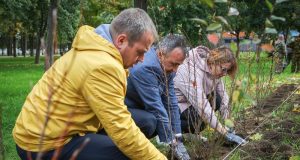 В Рыбинске появилась живая изгородь в Волжском парке