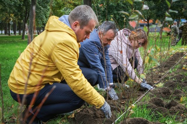 В Рыбинске появилась живая изгородь в Волжском парке