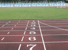 2024 год в России планируют объявить Годом спорта