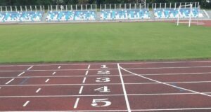 2024 год в России планируют объявить Годом спорта