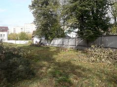 «Целина» Карякинского сада