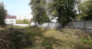 «Целина» Карякинского сада