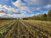 В 2024 году на поддержку АПК в регионе выделят более 760 млн рублей