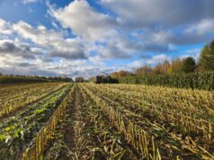 В 2024 году на поддержку АПК в регионе выделят более 760 млн рублей