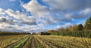 В 2024 году на поддержку АПК в регионе выделят более 760 млн рублей