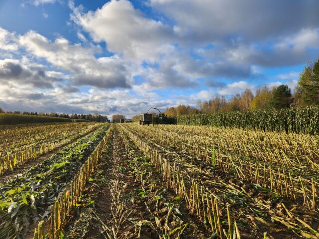 В 2024 году на поддержку АПК в регионе выделят более 760 млн рублей