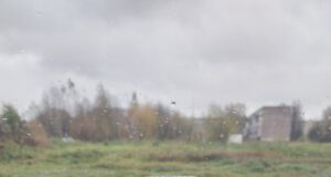 В Рыбинске осудили мать, севшую за руль «под мухой»