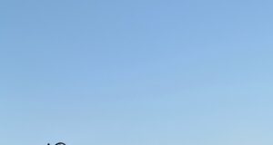 В Рыбинске обсудят, хватает ли городу кадров для туризма